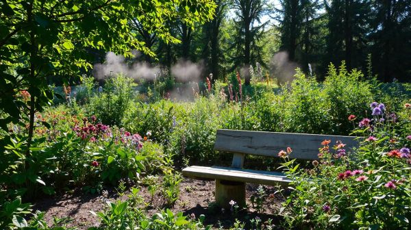 Créer un jardin durable au Québec : astuces pour le climat