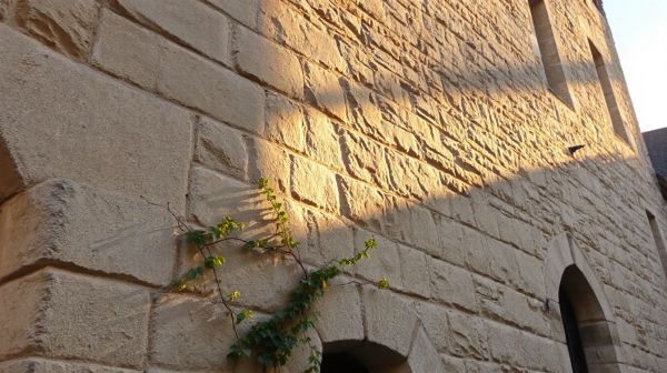 Top raisons de choisir un ravalement de façade à Orléans